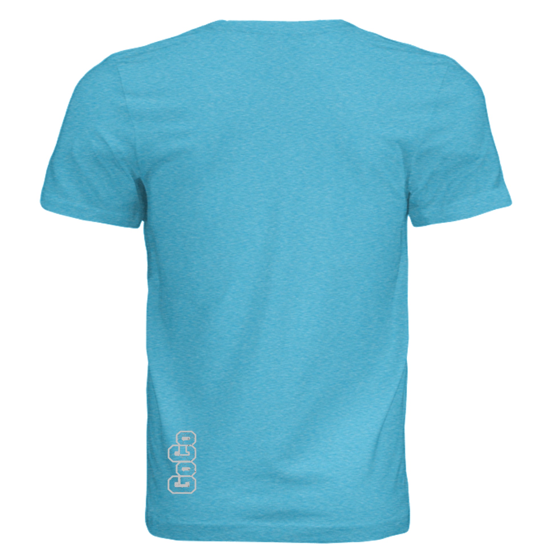 AQUA TRIBLEND - 3413C - BACK
