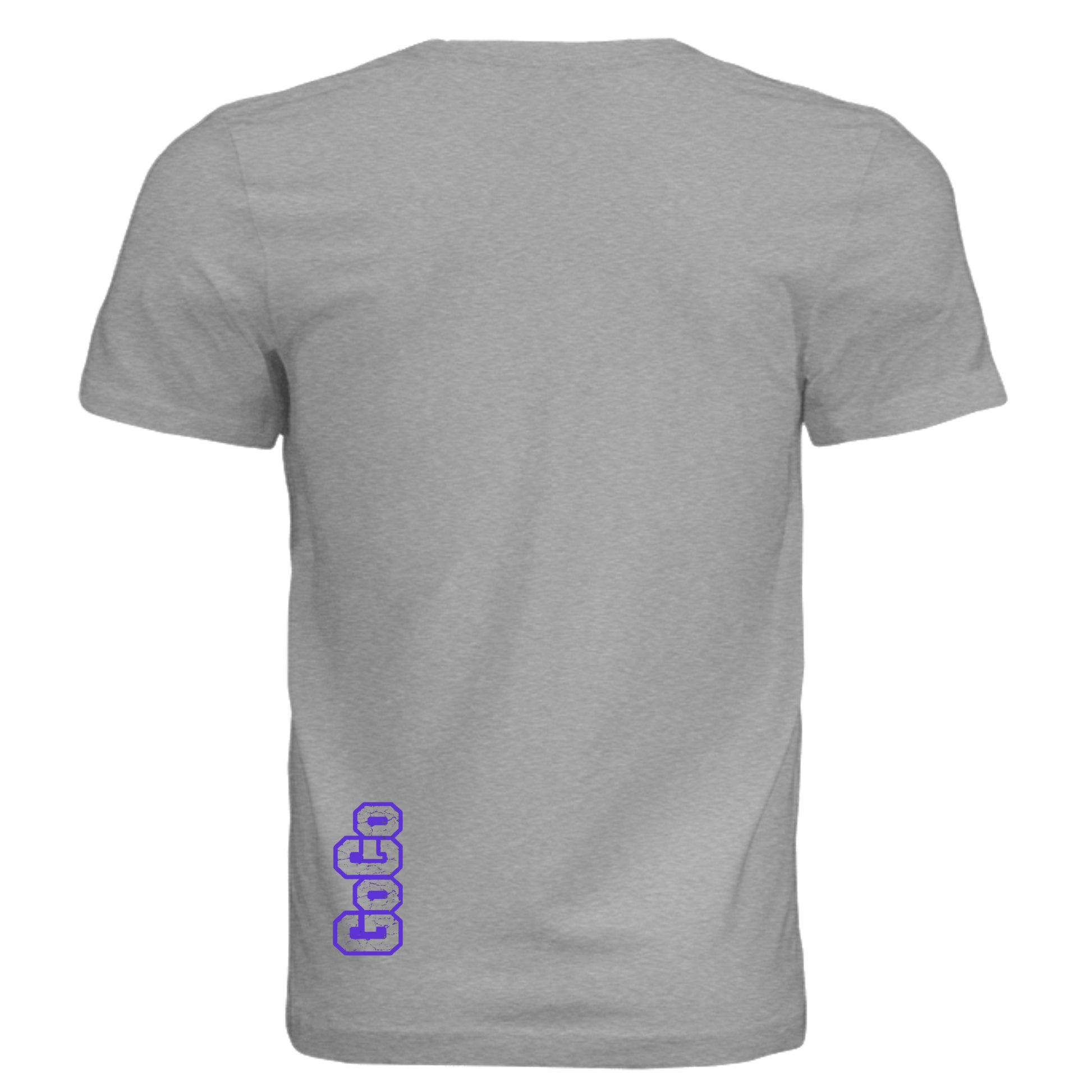 Athletic Grey Triblend - 3413C - BACK